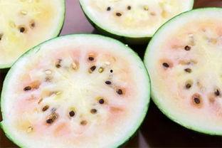 吃瓜只吃西瓜的吃瓜者是谁,揭秘“只吃西瓜”的吃瓜者之谜